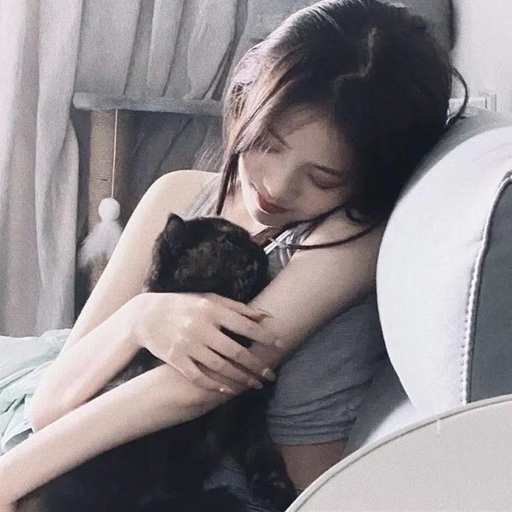 诱捕正义